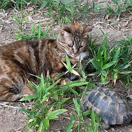 Villa La Grange Prox Tramway Marsylia Zewnętrze zdjęcie